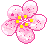 [Pixel] Sakura