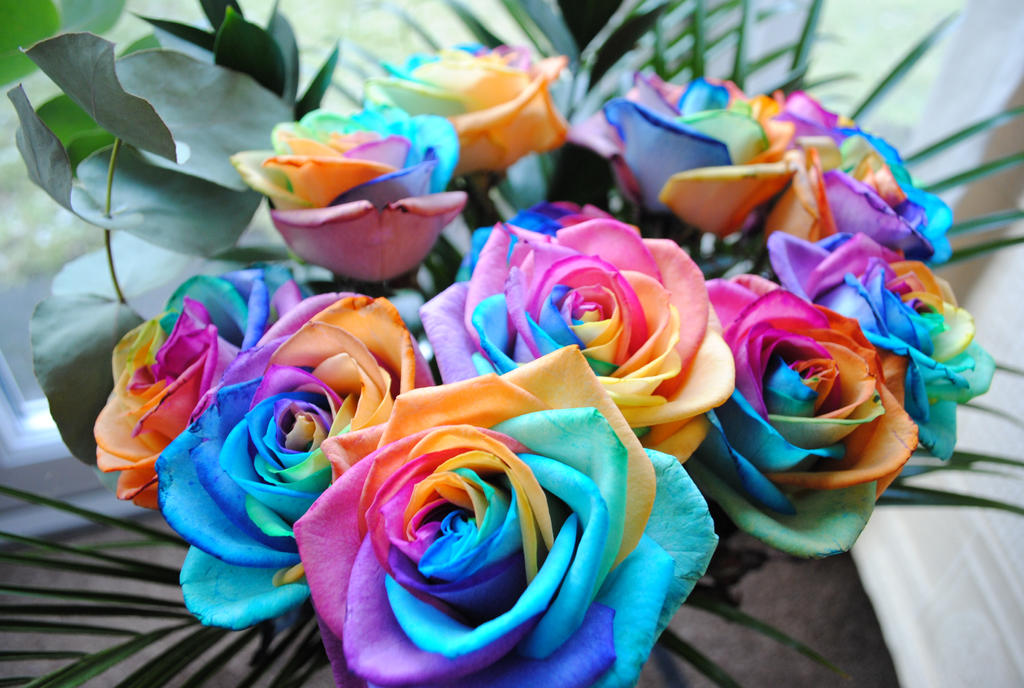 Have Fun Roses Happy Roses by 1-Professor-Chaos-1 on DeviantArt