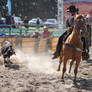 Taupo Rodeo 7