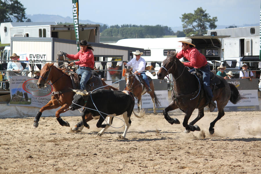 Taroom Rodeo Taupo Rodeo 10 by Sooty-Bunnie on DeviantArt