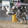 Taupo Rodeo 31