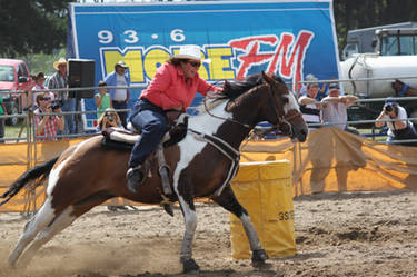 Taupo Rodeo 36