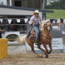 Taupo Rodeo 81