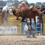 Taupo Rodeo 134