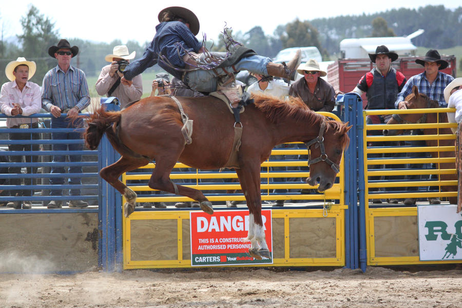 Taupo Rodeo 141