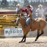 Taupo Rodeo 152