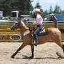 Taupo Rodeo 170