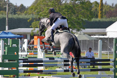 Show JUmping 4
