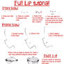Full Lip Tutorial
