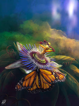 Passionfruit flower and Monarch butterfly