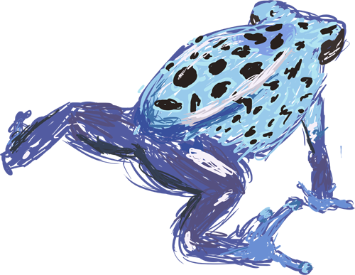 Poison Dart Frog