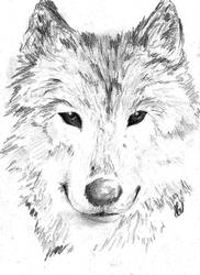 Loup