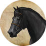 Blackie Horse