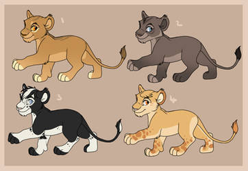 LionCub Adopts