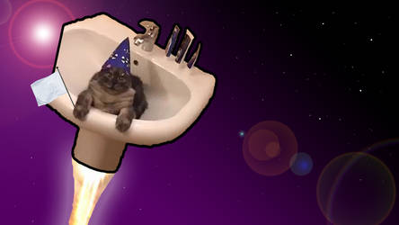 Space Cat