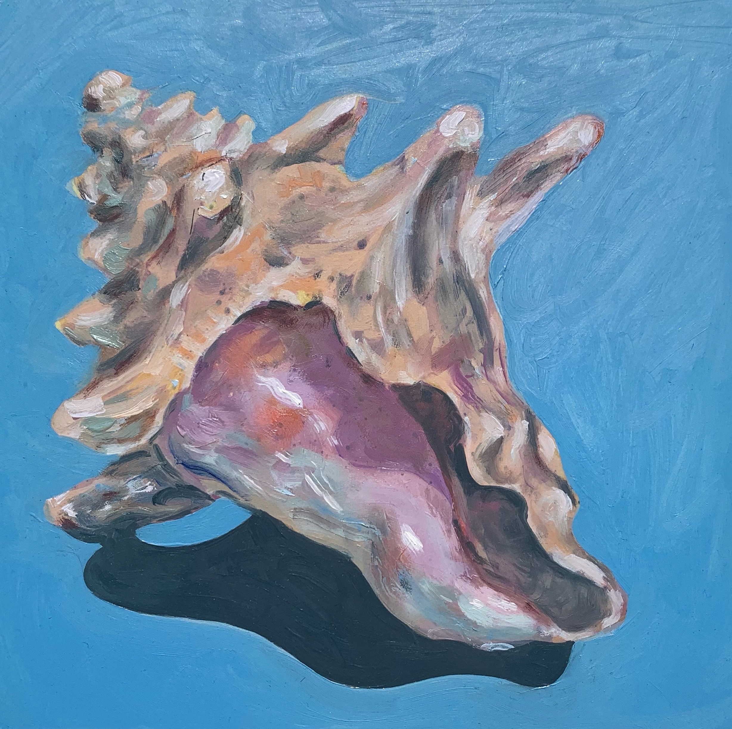still life with conch shell by solomonbrewer on DeviantArt