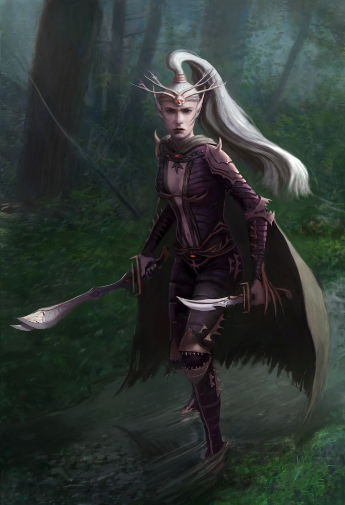 Female Dark Elf Assassin All in one Photos.