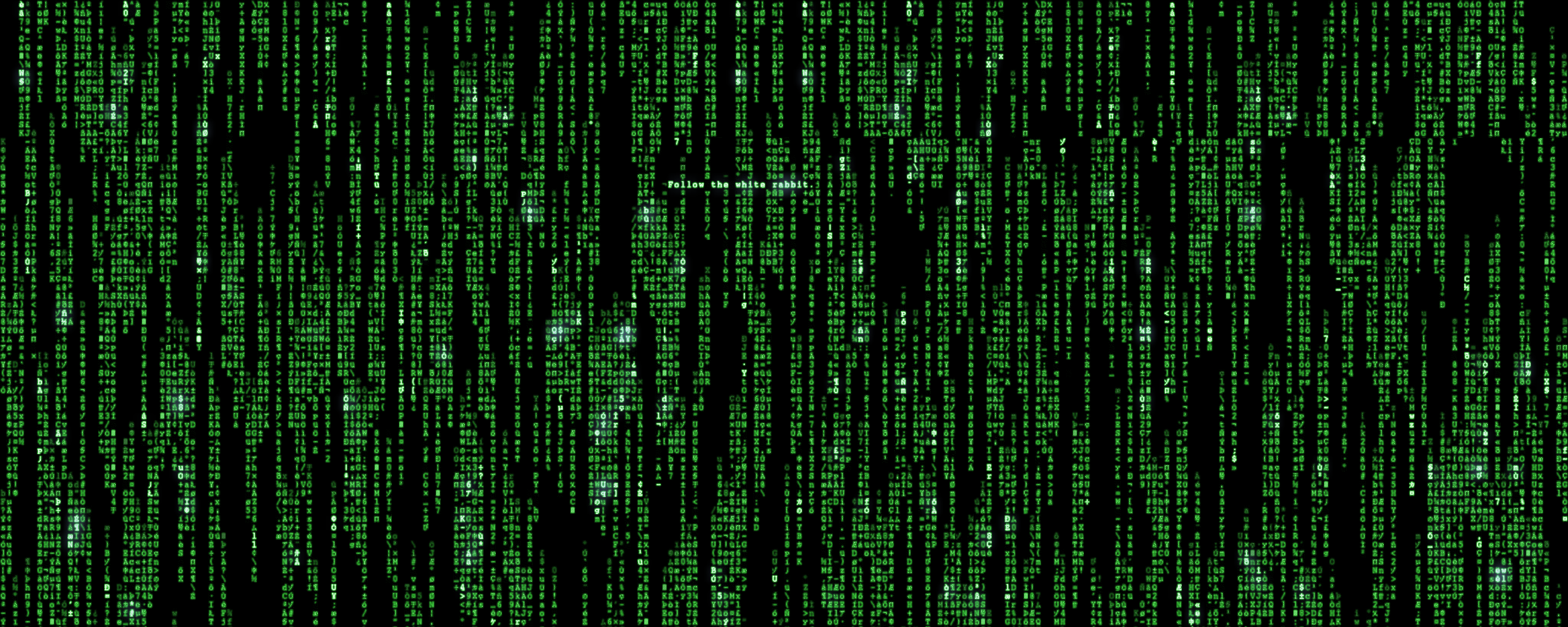 Matrix Dual-Screen Wallpaper