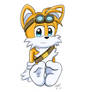 Tails boom socks By CPUknightX1.