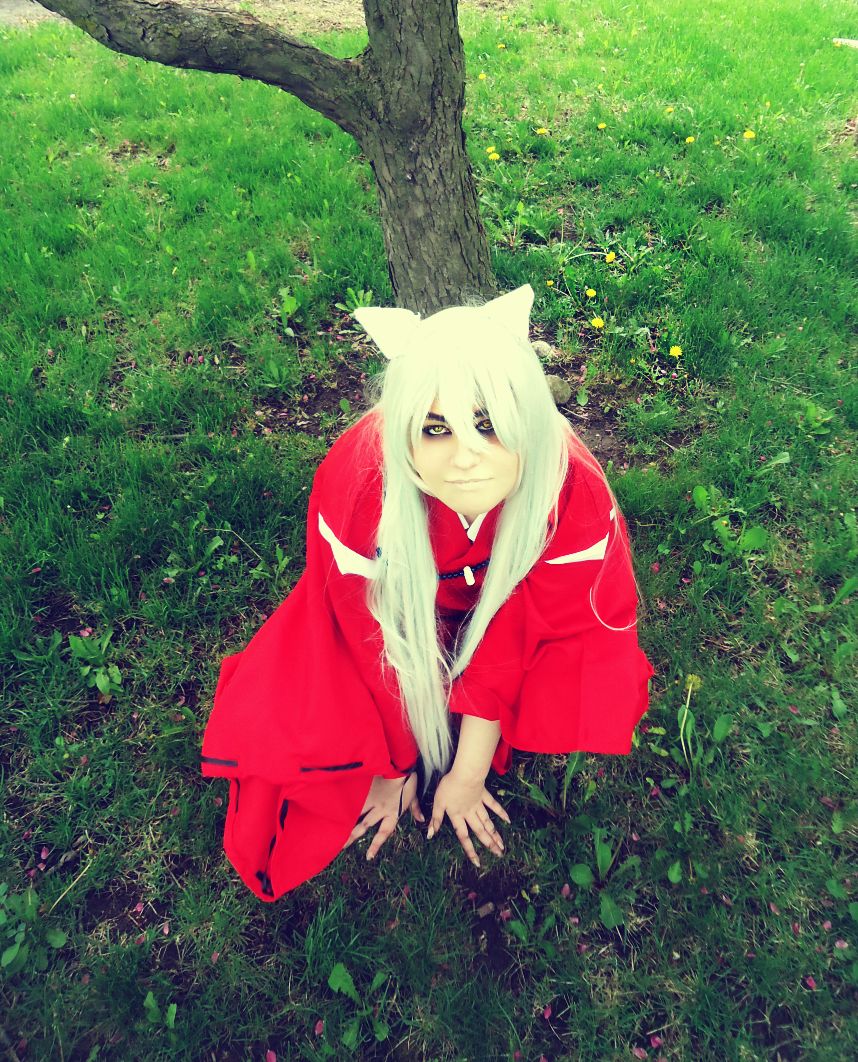 Inuyasha- Sit boy!