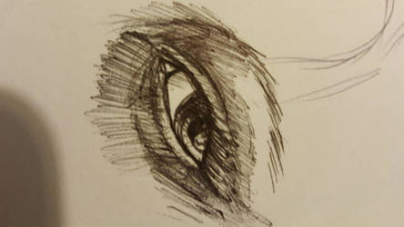 eye study