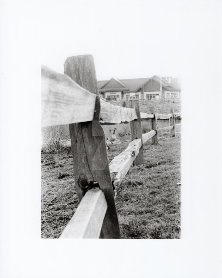 Wooden Fence Two