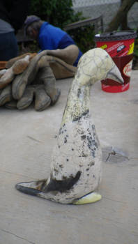 Raku Gannet sooty