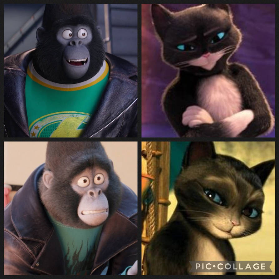 Johnny Razor Cat (CAT) Johnny and Kitty Softpaws by CatMarioCore on DeviantArt