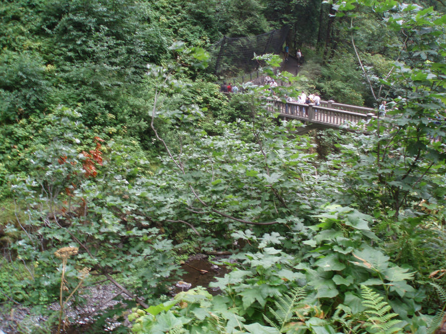 Multnomah Falls Bridge