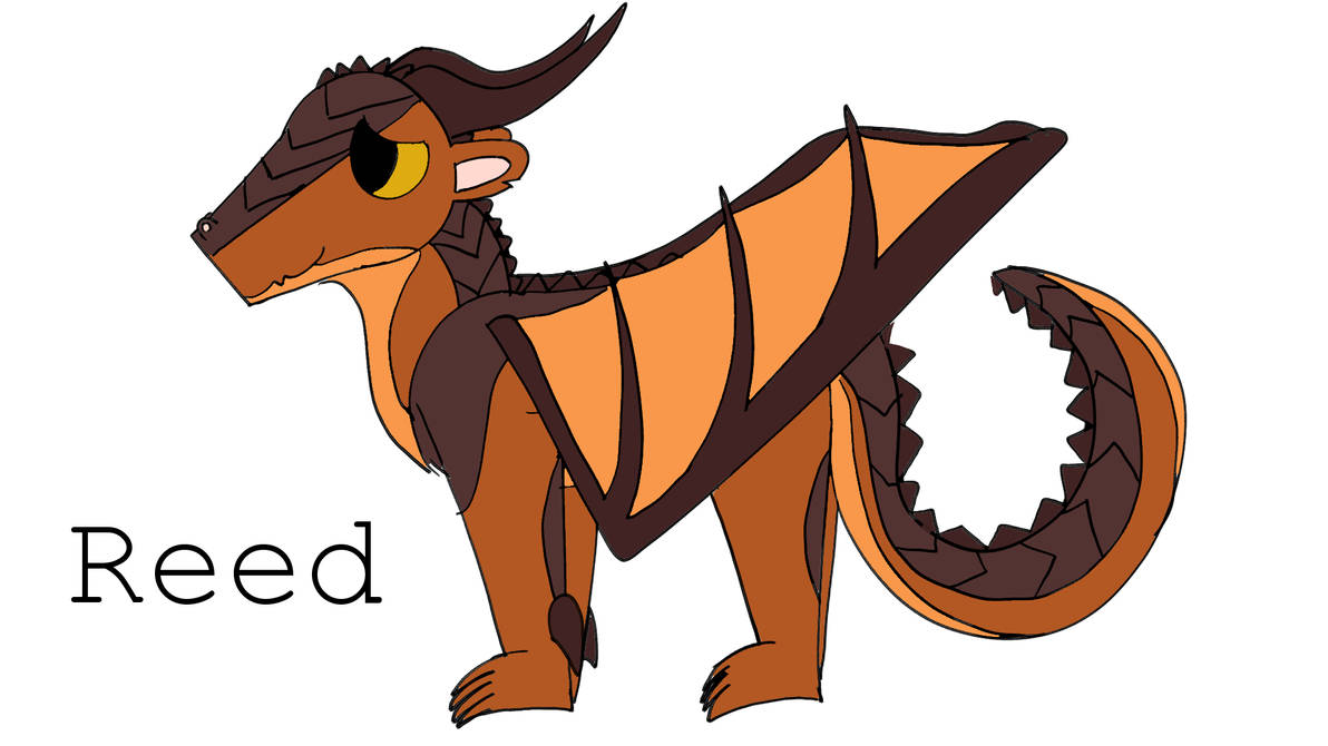 Reed by Nightanimations193 on DeviantArt