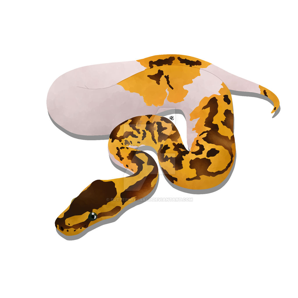Ball python by ButterWithSalt on DeviantArt