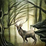 Deer in the wood