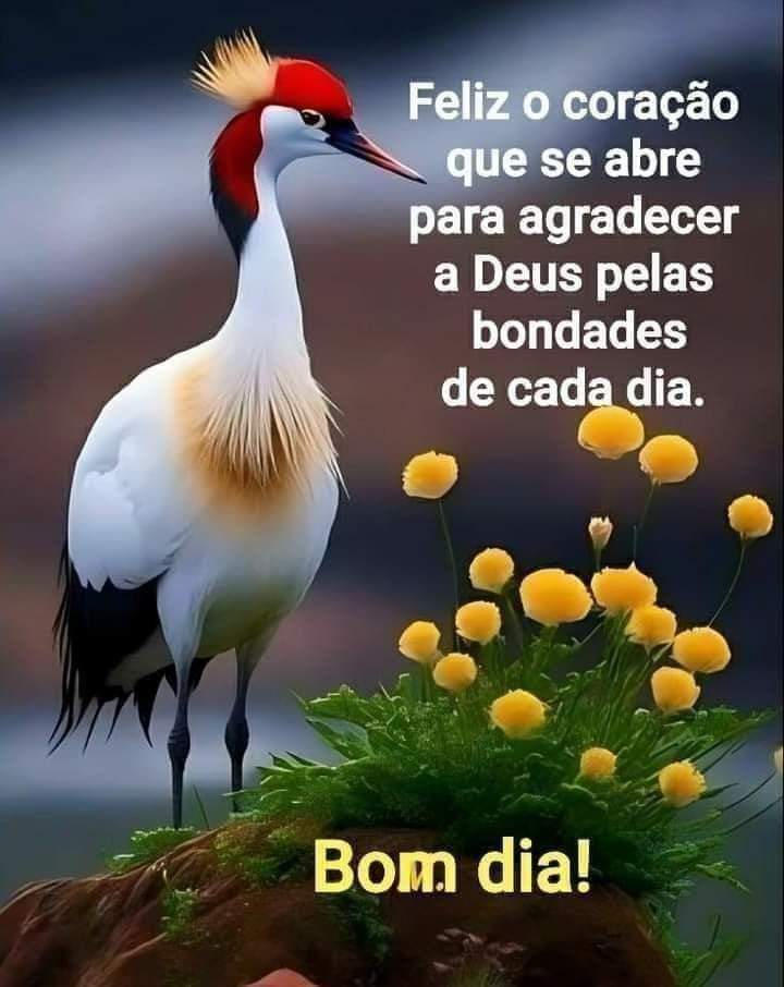 Bom dia 2 by DeodoroFloriano on DeviantArt