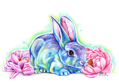 Blue Rabbit Deviantart Explore the Best Bluebunny Art | DeviantArt