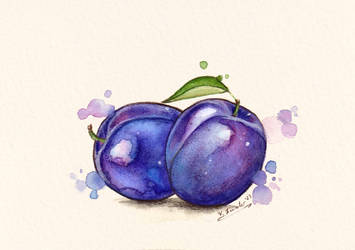 Summer Fruit: Plums