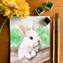 Happy Easter 2026