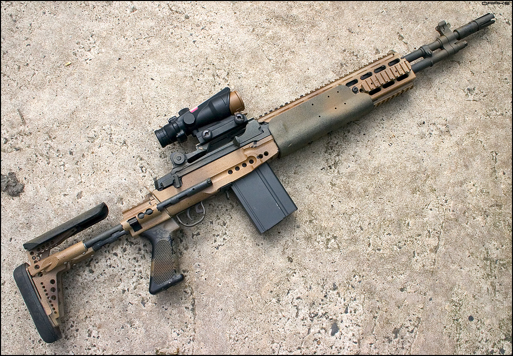 Desert MK14 EBR Mod-0