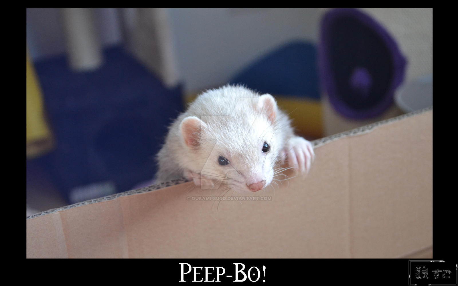 Peep-Bo!