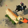 a horse jumping a duck