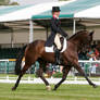 Dressage burghley 2005 II