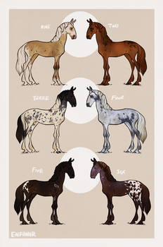 Semi-Natural Equine Adopts [price reduced]