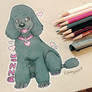 Azriel the Poodle Pup - Gift for Debi H.
