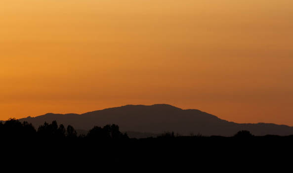 Spring's evening