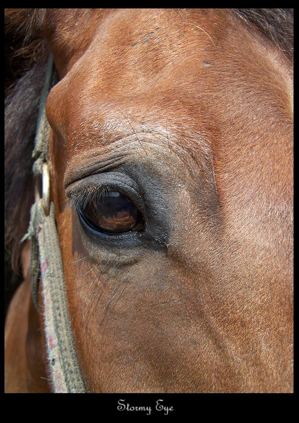 Stormy Eye