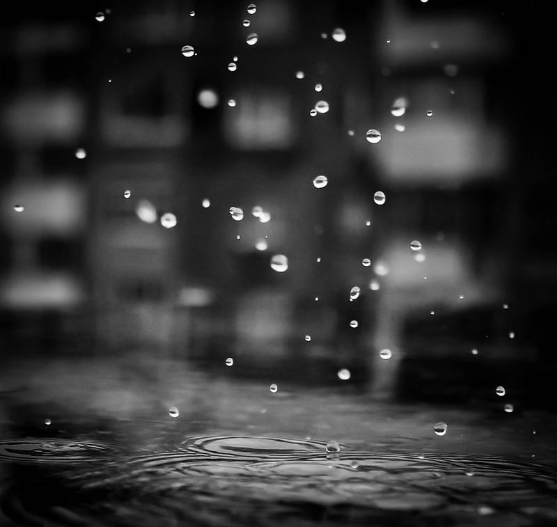 Rain Drops