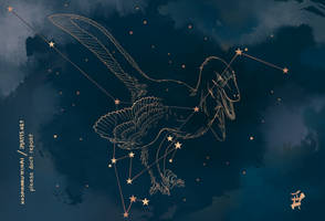 Constellation raptor