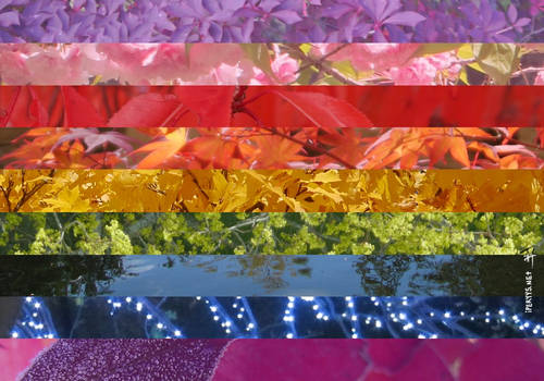 Rainbow LGBT+ Pride flag of foliage