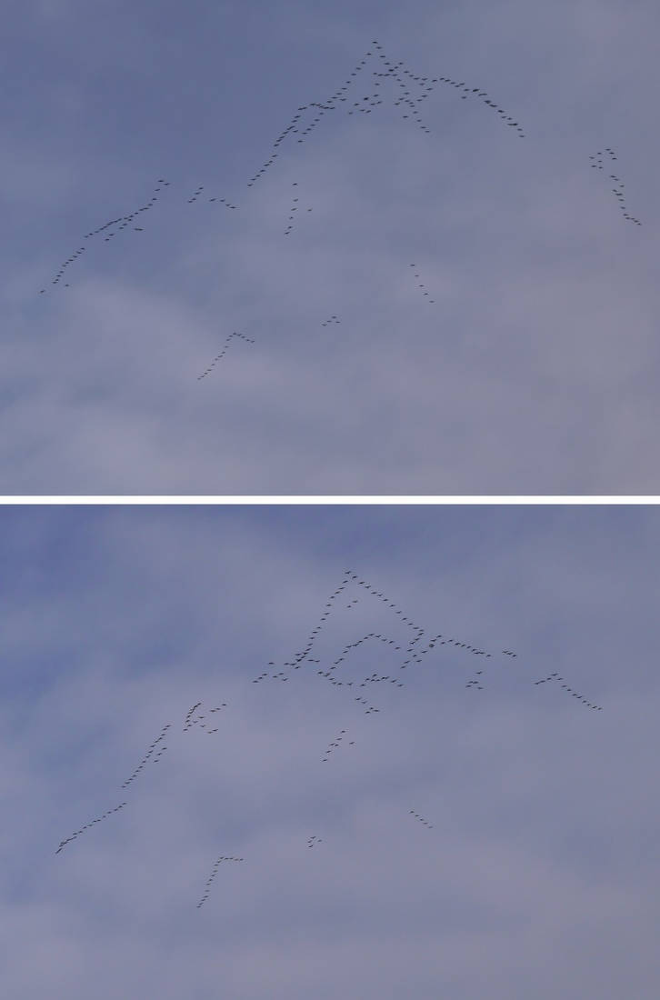 Bird mountains by kosmonauttihai on DeviantArt