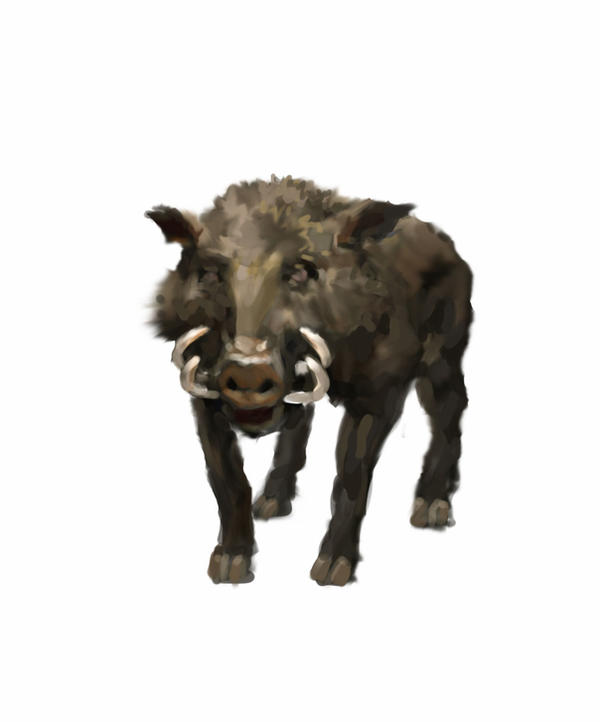 Boar Monkey Deviantart Boar by Penderpan on DeviantArt
