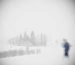 white shadows by aopan